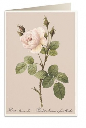 Karnet B6 + koperta 6065 Różowa róża