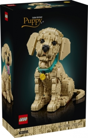 LEGO Icons Szczeniak Golden Retriever V29 11384