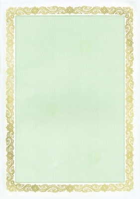 Dyplom Galeria Papieru maori zielony A4 190 g (210319)