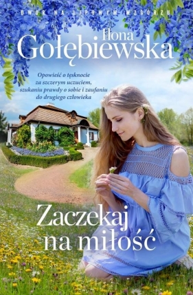 Zaczekaj na miłość - Gołębiewska Ilona