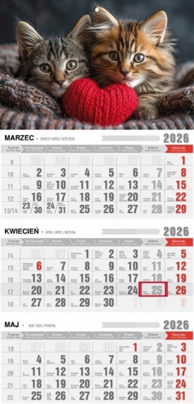 Kalendarz 2026 trójdzielny z magnesem - Kotki
