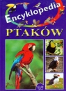 Encyklopedia ptaków