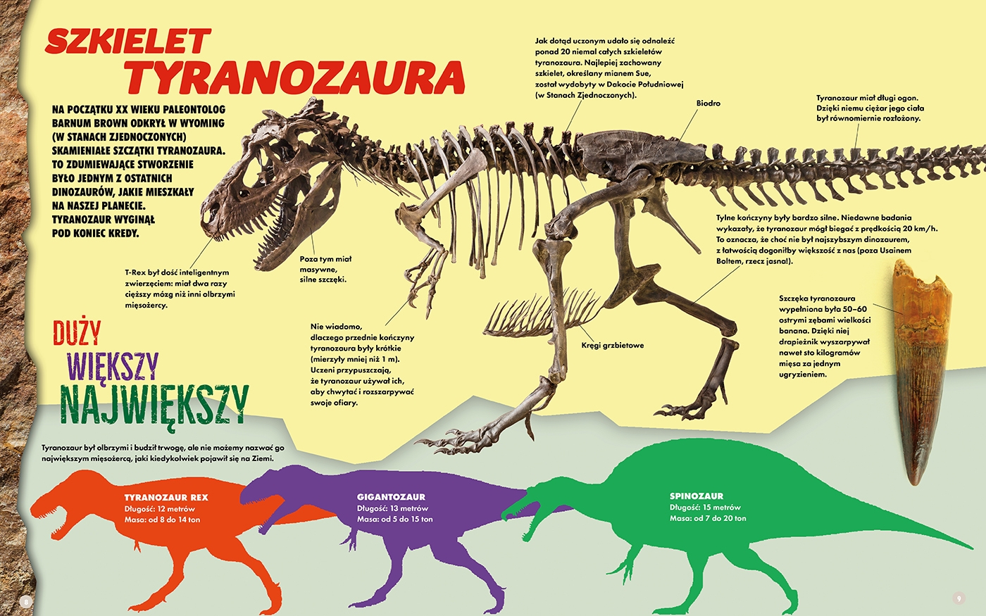 T-REX. Zbuduj ogromnego dinozaura 3D