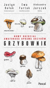 Grzybownik - Aleksandra Jarczok, Ewa Furtak, Justyn Kołek