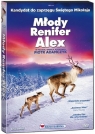 Młody renifer Alex (DVD) Guillaume Maidatchevsky