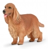 Cocker Spaniel