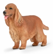 Cocker Spaniel