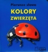 Pierwsze słowa Kolory zwierzęta