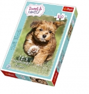 Puzzle Zabawa latem 100 (16265)