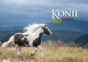 Kalendarz 2023 albumowy Konie KA10