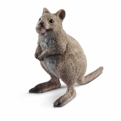Schleich Wild Life, Kuoka krótkoogonowa (SLH14823)