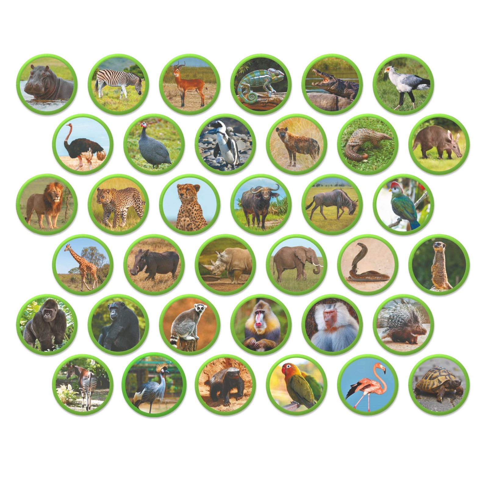 Zestaw magnesów Montessori - Zwierzęta na kontynentach: Afryka (200284)