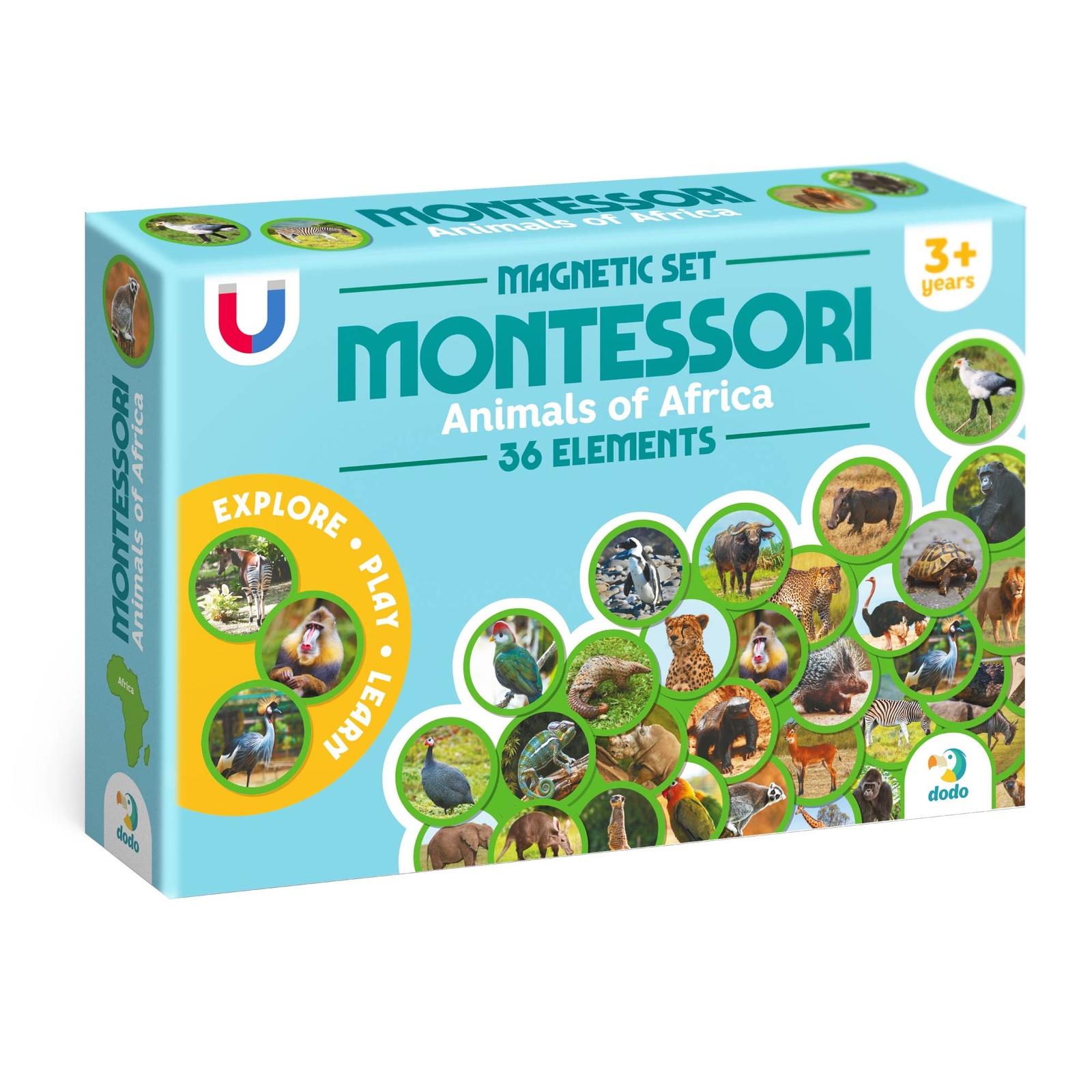 <img src='https://webimage.pl/pics/654/1/d4823115911087.jpg' style='height:440px' /> Zestaw magnesów Montessori - Zwierzęta na kontynentach: Afryka (200284)