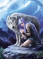 Puzzle 1000: Anne Stokes Collection - Protector (39465)