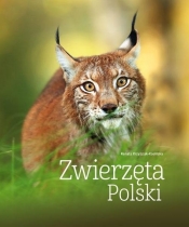 Zwierzęta Polski - Renata Kosińska