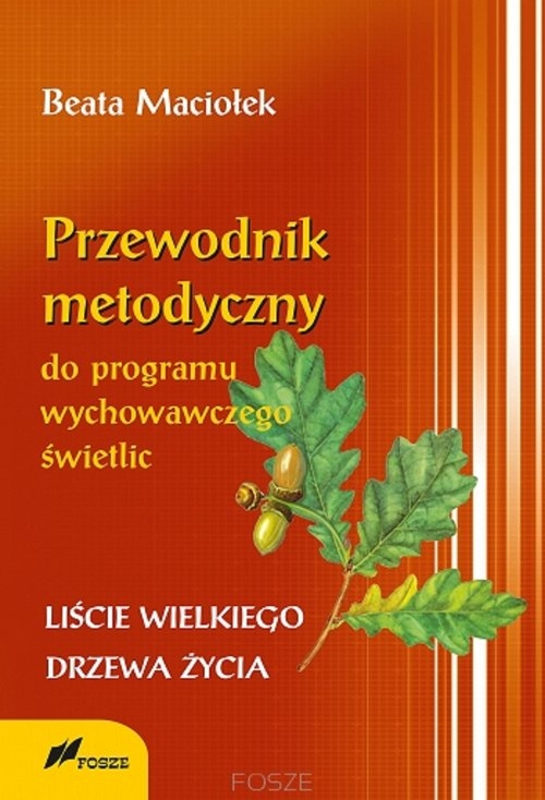 Przewodnik metodyczny programu wychowawczego świetlic