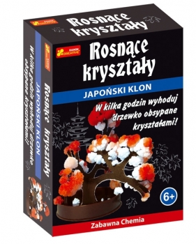 Japoński Klon