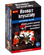 Japoński Klon