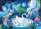Puzzle Brilliant SuperColor 104: A Fairy Night (20165)