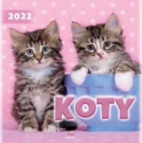 Kalendarz 2022 Ścienny Koty ARTSEZON - praca zbiorowa