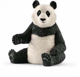 Panda wielka samica - 14773