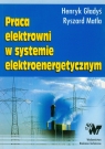 Praca elektrowni w sysytemie elektroenergetycznym