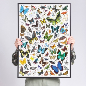 Puzzlove CzuCzu: Motyle, 1000 el.