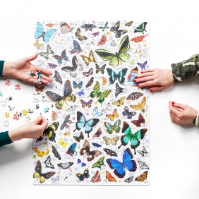 Puzzlove CzuCzu: Motyle, 1000 el.
