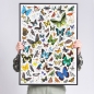 Puzzlove CzuCzu: Motyle, 1000 el.