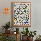 Puzzlove CzuCzu: Motyle, 1000 el.