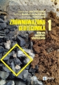 Zrównoważona geotechnika - materiały alternatywne. Część 1 - Małgorzata Jastrzębska, Karolina Knapik-Jajkiewicz, Magdalena Kowalska