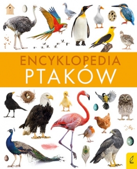 Encyklopedia ptaków - Paweł Zalewski