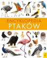 Encyklopedia ptaków Paweł Zalewski