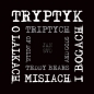 Tryptyk, o lalkach, misiach i bogach - Jan Svo