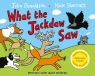 What the Jackdaw Saw Julia Donaldson, Nick Sharratt