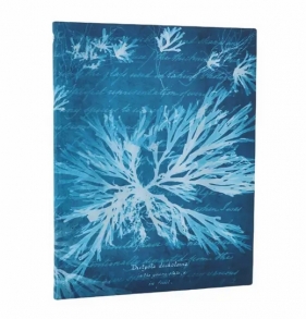 Notatnik w linie Sea Flowers Flexi Ultra
