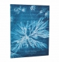 Notatnik w linie Sea Flowers Flexi Ultra