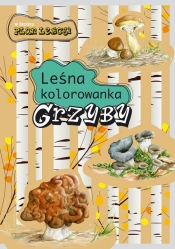 Leśna kolorowanka Grzyby - Kopiec-Sekieta Katarzyna