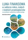 Luka finansowa w sektorze mikro, małych i średnich przedsiębiorstw na Aneta Karina Bernat