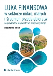 Luka finansowa w sektorze mikro, małych i średnich przedsiębiorstw