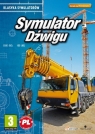 Symulator Dźwigu Klasyka Symulatorów