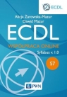 ECDL S7 Współpraca Online Żarowska-Mazur Alicja, Mazur Dawid