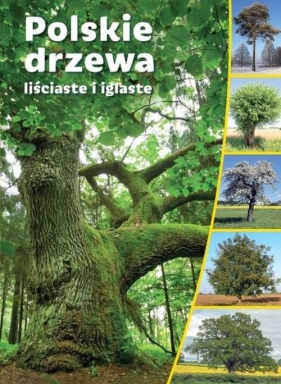 Polskie drzewa liściaste i iglaste - Opracowanie zbiorowe