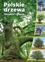 Polskie drzewa liściaste i iglaste - Praca zbiorowa