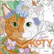 Leniwe koty (kolorowanka) - Opracowanie zbiorowe