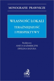 Własność lokali. Teraźniejszość i perspektywy - Ewelina Badura, Aneta Kaźmierczyk