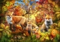 Bluebird Puzzle 1500: Duch jesieni (70165)
