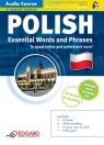 Polish Essential Words and Phrases