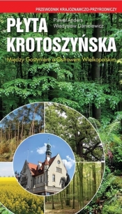 Płyta Krotoszyńska. Między Gostyniem a Ostrowem... - Paweł Anders