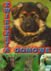 Zwierzęta domowe - Opracowanie zbiorowe